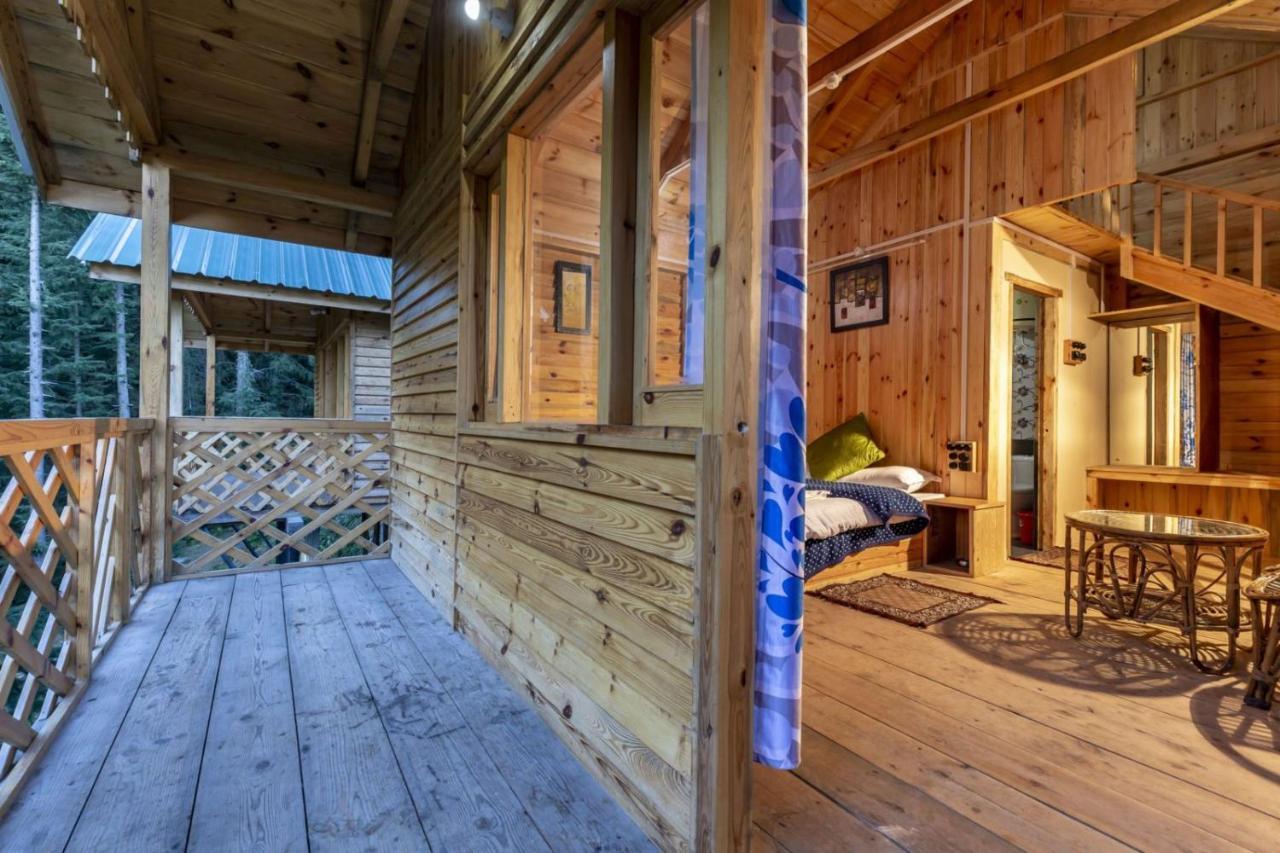 דלהאוזי Mid Conifer Cottage מראה חיצוני תמונה